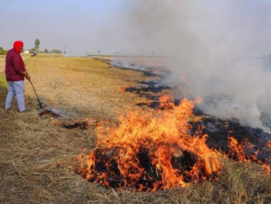 हरियाणा में पराली जलाने पर ड्रोन से निगरानी, हर जिले और ब्लॉक में तैनात होगी ‘पराली प्रोटेक्शन फोर्स’