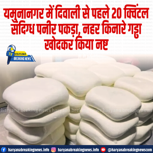 यमुनानगर में दिवाली से पहले 20 क्विंटल संदिग्ध पनीर पकड़ा, नहर किनारे गड्ढा खोदकर किया नष्ट
